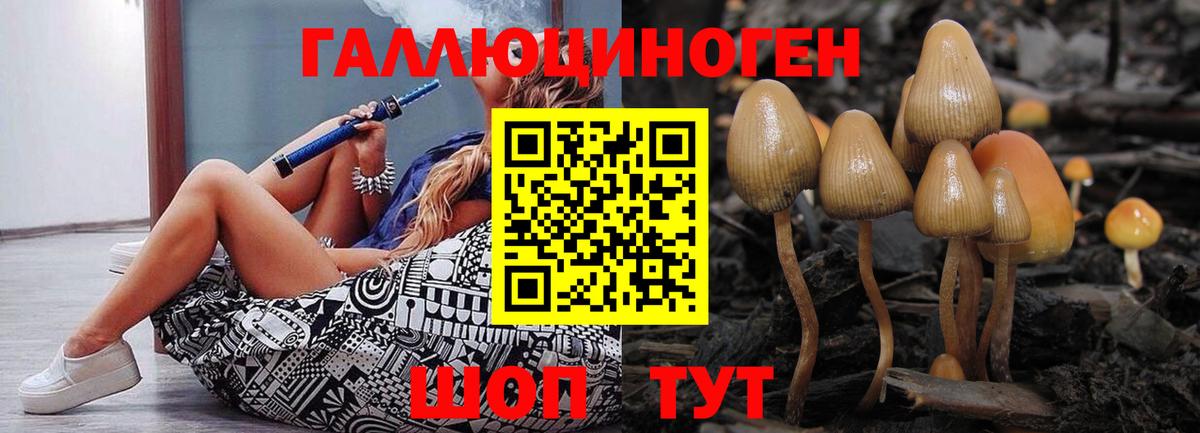 Галлюциногенные грибы мицелий  Галлюциногенные грибы Cubensis  Прохладный  Вход с VPN 